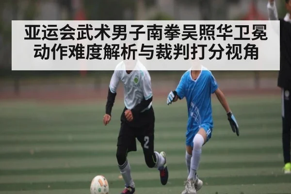 亚运会武术男子南拳吴照华卫冕动作难度解析与裁判打分视角