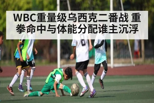 WBC重量级乌西克二番战 重拳命中与体能分配谁主沉浮