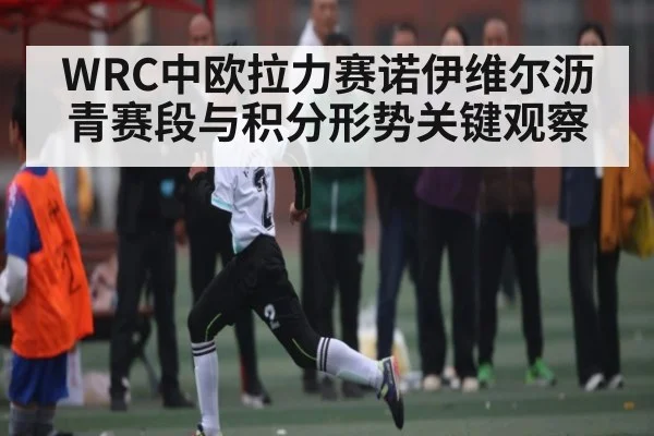 WRC中欧拉力赛诺伊维尔沥青赛段与积分形势关键观察