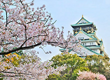 鲸鱼体育登录入口-大批新生儿起名科比或吉安娜 哪个球星名字最热？